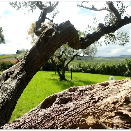 San Biase San Salvo